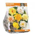 Baltus Narcissus Double Mixed bloembollen per 8 stuks